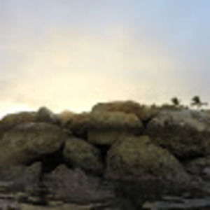 Meet your Posher, Crim